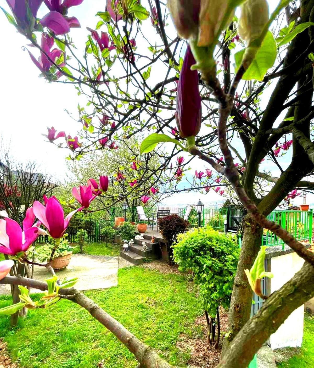 Apartamento Garden Free Parking SJJ Exterior foto